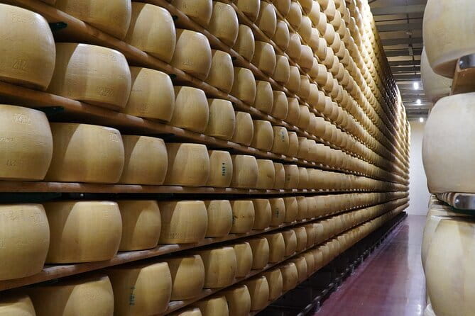 Journey through Italian Cheese - A Florence tasting class that teaches you how to taste