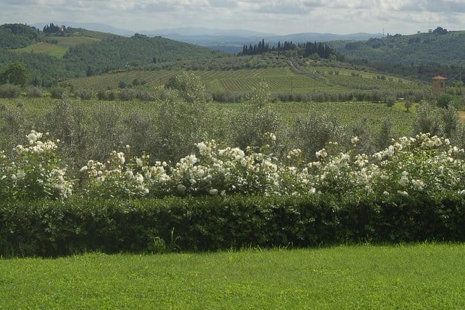 Journey through Italian Cheese - How this experience helps you order Italian wine with confidence