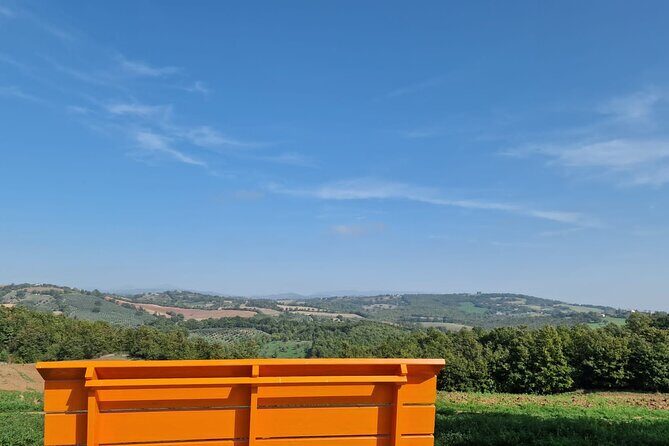 La Maliosa Farm Experience & Wine Tasting - La Maliosa in Saturnia: A Wine-and-Oil Tasting That Actually Feels Personal