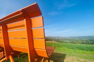 La Maliosa Farm Experience & Wine Tasting - The Walk Part: Big Bench #235, Vineyards, and Viewpoints
