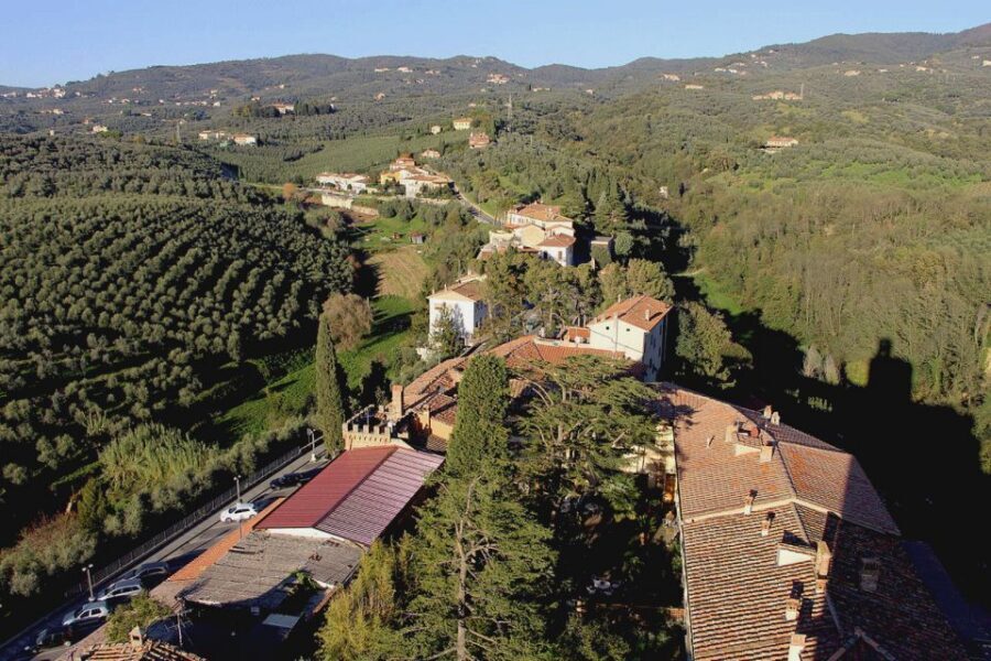 Leonardo da Vinci's Homeland Private Excursion from Florence - A 6-hour private ride that keeps the Tuscany driving stress low