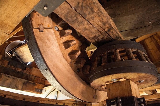 Leonardo Da Vinci's wind mill visit and Organic olive oil tasting - Olive Grove + Leonardo-Style Windmill: What You Actually Get