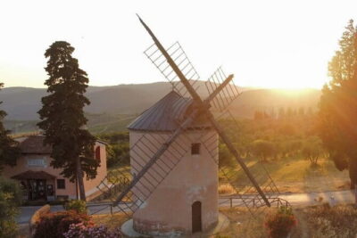 Leonardo Da Vinci's wind mill visit and Organic olive oil tasting - Stop 1 at Bottega del Mulino: Olive Groves First, Then the Mill