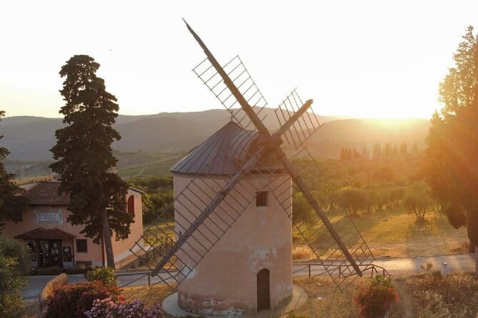 Leonardo Da Vinci's wind mill visit and Organic olive oil tasting - Stop 1 at Bottega del Mulino: Olive Groves First, Then the Mill