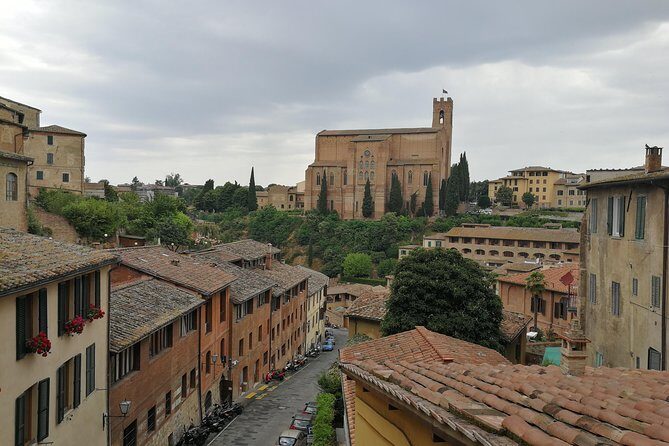 Let's discover Siena! - What you’ll learn (and what it’s useful for) from Elisona’s style