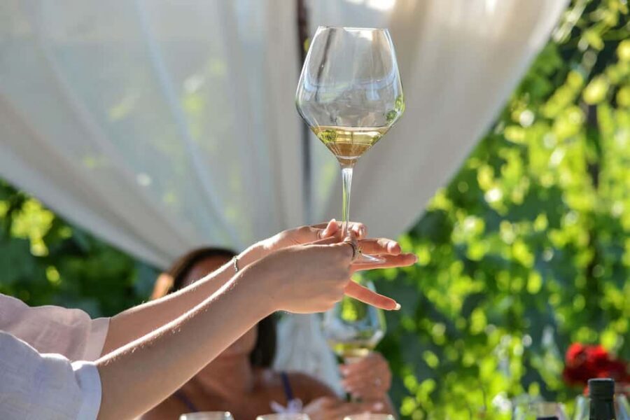 Light Lunch with Wine Tasting - Who this is best for (and who might prefer something else)
