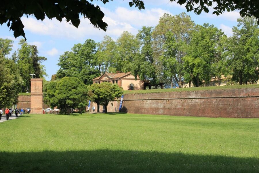 Lucca: City Highlights Walking Tour - Fortress-style Lucca and the church-square focus at Piazza San Martino