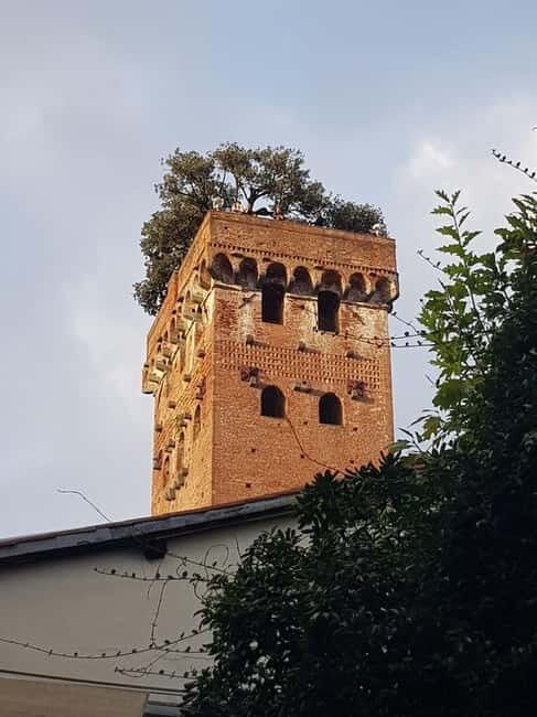 Lucca classica: visita guidata in ITALIANO - Where you’ll start and how the walk is laid out