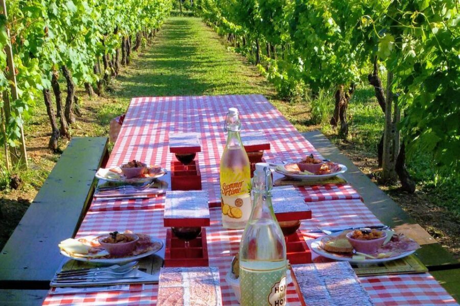 Lucca: Guided E-Bike and Wine Tour - Leaving the walls: villages, family farms, and short climb relief