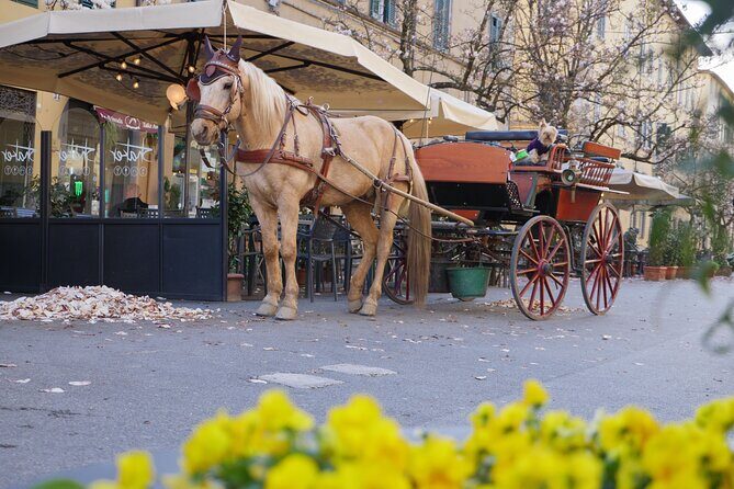 Lucca Royal Experience – Grand Tour Deluxe by Carriage (2 Hours) - Key highlights to expect on this Lucca carriage tour