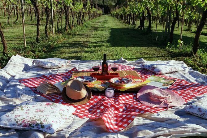 Lucca: self-guided bike tour + picnic in the vineyards - Key highlights worth planning for