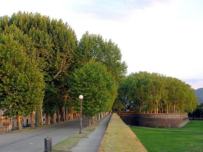 Lucca Sightseeing Tour by E-bike or City bike - Piazza San Michele and the Roman forum area: the tour’s anchor points