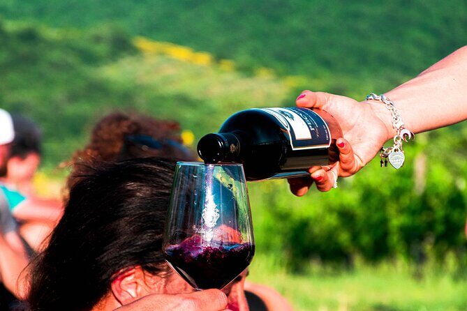 Luch Time Tasting & Winery Tour - Should you book Luch Time Tasting & Winery Tour at Villa La Ripa?