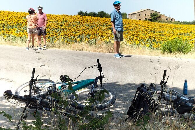 Luxury Eno and Oil experience, by e-bike and more... - The E-Bike Ride Between the Stops: Hills, Effort, and Why It’s Worth It