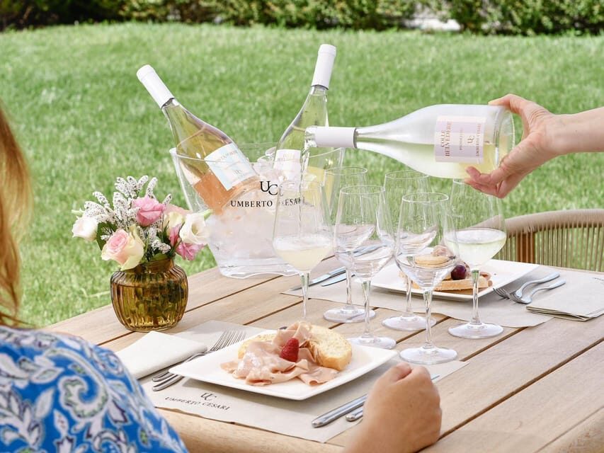 Luxury Wine Tasting with Food Pairing near Bologna - Key things I’d circle before booking