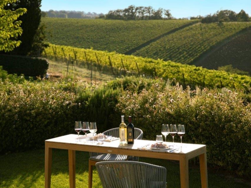 Luxury Wine Tasting with Food Pairing near Bologna - A 90-minute tasting route from Umberto Cesari to Castel San Pietro Terme