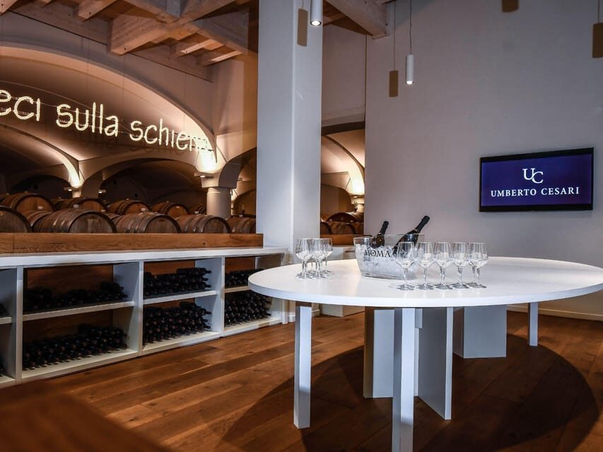 Luxury Wine Tasting with Food Pairing near Bologna - Price and value for $65 per person near Bologna