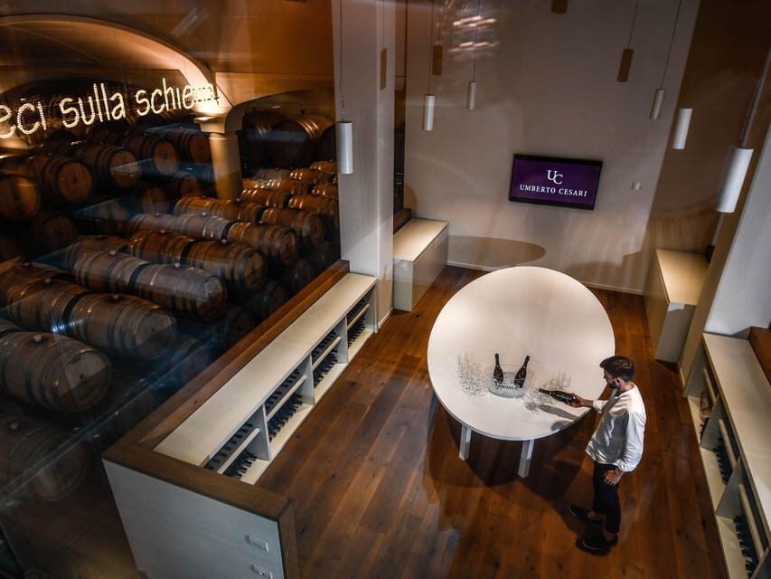 Luxury Wine Tasting with Food Pairing near Bologna - Inside the barrel room: how aging becomes something you can taste