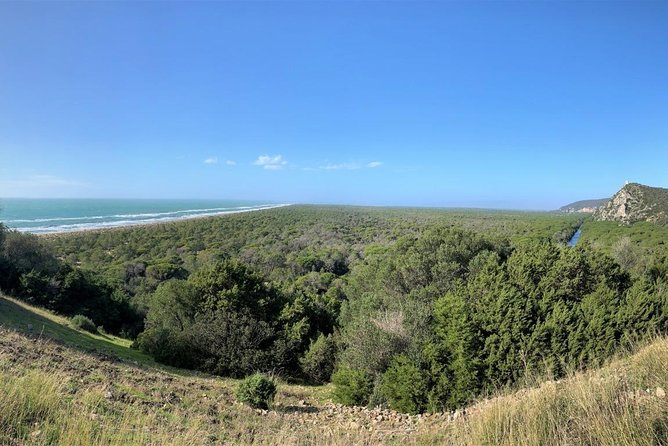 Maremma natural park e-bike tour - Key highlights you’ll actually care about