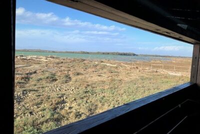 Maremma natural park e-bike tour - Meeting at Alberese and what to expect from the first hour