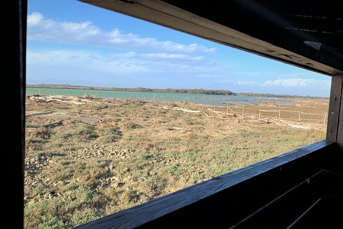 Maremma natural park e-bike tour - Meeting at Alberese and what to expect from the first hour