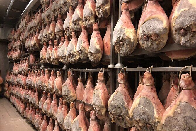 Modena Food:Prosciutto,Parmigiano,Balsamic,Wine,Lunch,Transport - Key highlights worth marking