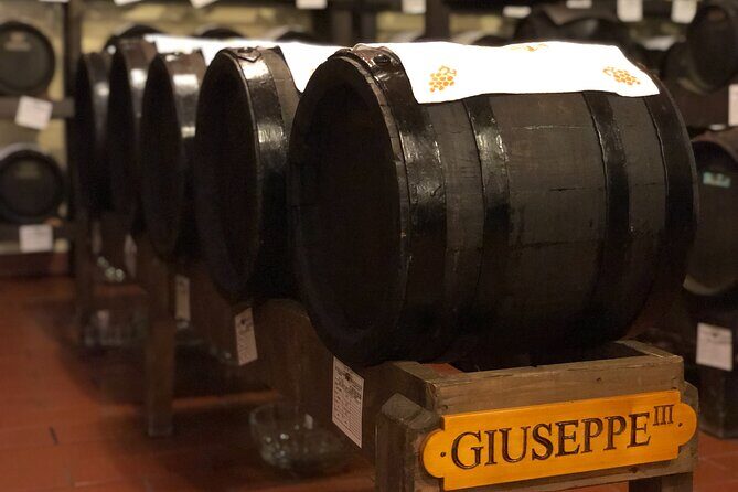 Modena Food:Prosciutto,Parmigiano,Balsamic,Wine,Lunch,Transport - From Bologna to Modena: How the Full-Day Food Run Works