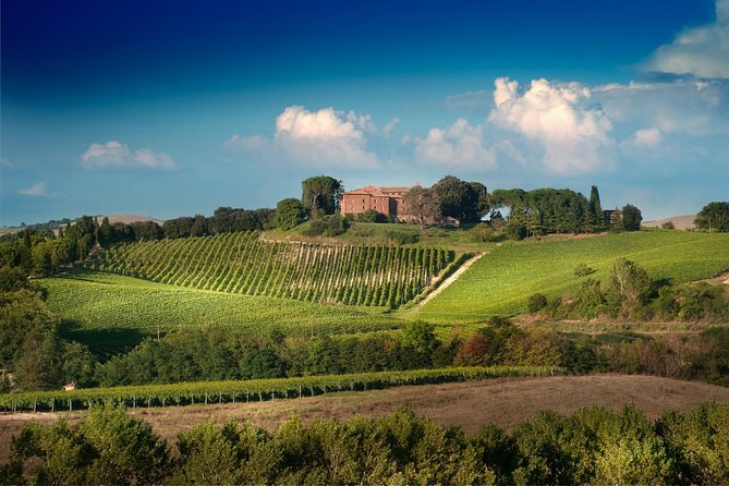 Montalcino: Brunello Wine Tasting Experience - Castello Tricerchi: the medieval start that sets the tone