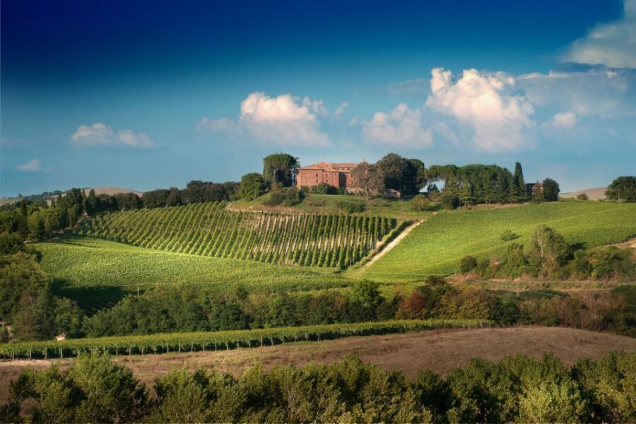 Montalcino: Brunello Wine Tasting & Lunch in a Tuscan Castle - Castello Tricerchi: the medieval setting that makes wine tasting feel special