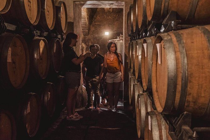 Montalcino Castle and Vineyards tour with tasting - Entering Castello Tricerchi in Montalcino