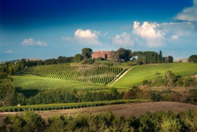 Montalcino: Castle and Vineyards Tour with Tasting - Baldassare Peruzzi Bridge and the Chapel with the Veil Fragment