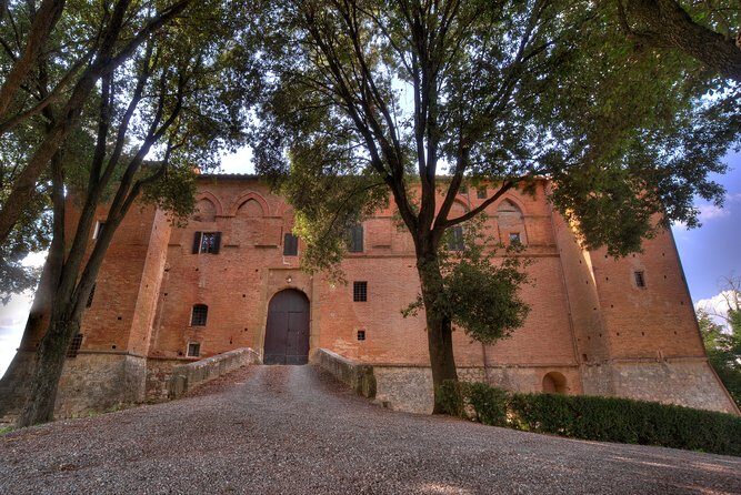 Montalcino Castle and Vineyards tour with tasting - Price and value: $46.86 for three tastings plus a guided estate walk