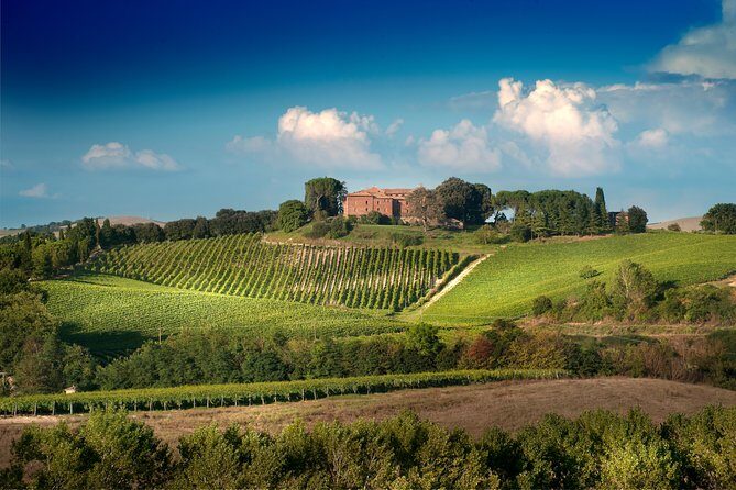 Montalcino Castle and Vineyards tour with tasting - The 60-minute structure: what you’ll see and why it matters