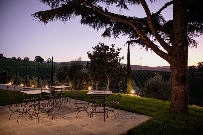 Montalcino: Cellar Tour, Brunello Tasting and Appetisers - Brunello tasting of 5 products: how to enjoy the samples