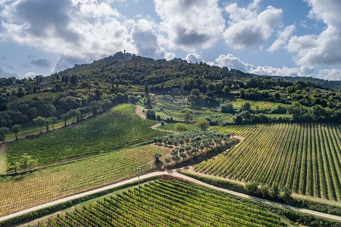 Montalcino: Cellar Tour, Brunello Tasting and Appetisers - What you’ll likely love most (and why it’s repeated in reviews)