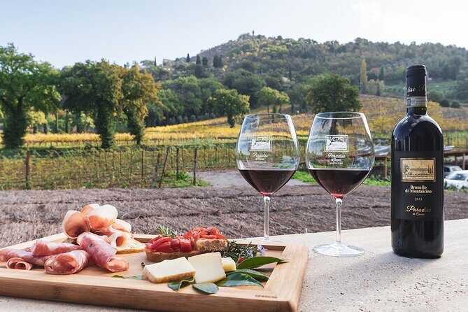 Montalcino: Cellar Tour, Brunello Tasting and Appetisers - Vineyard tour: the setting that makes the wine make sense