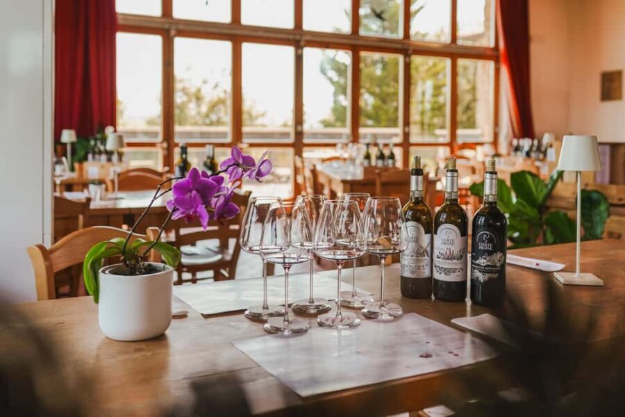 Montalcino: Gourmet Wine & Food Tasting - The practical side: timing, seating, and what to expect on arrival