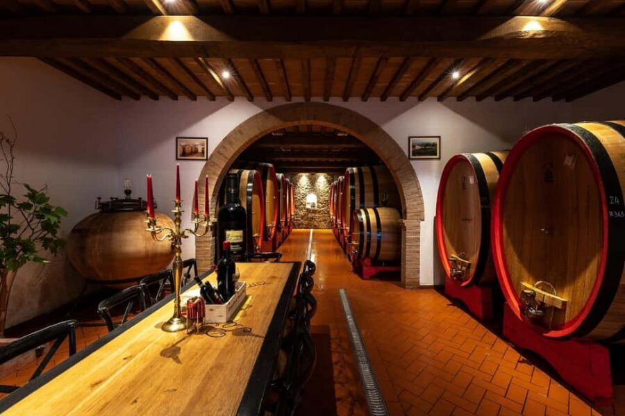 Montalcino: Premium Wine Tasting with light-lunch and Tour - Key things you’ll notice on this Montalcino wine experience