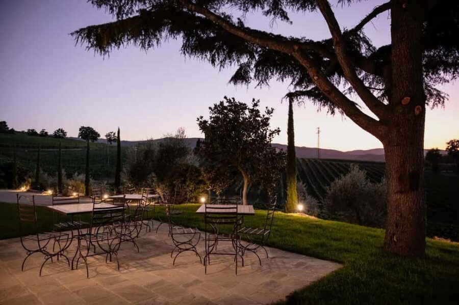 Montalcino: Premium Wine Tasting with light-lunch and Tour - Timing and logistics: make the 2 hours work for you
