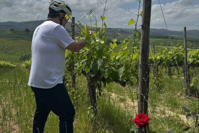 MONTALCINO Private E-Bike & Brunello Winery Experience - Price and value: how $412.84 per person makes sense