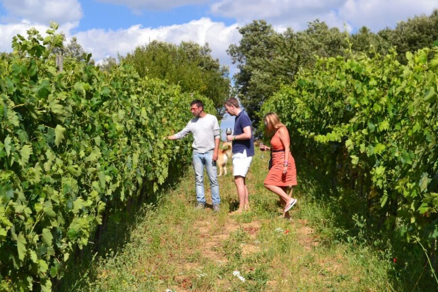 Montalcino: Small-Group Brunello Wine Tour from Florence - Lunch in Montalcino: a needed reset, even if it’s not a feast
