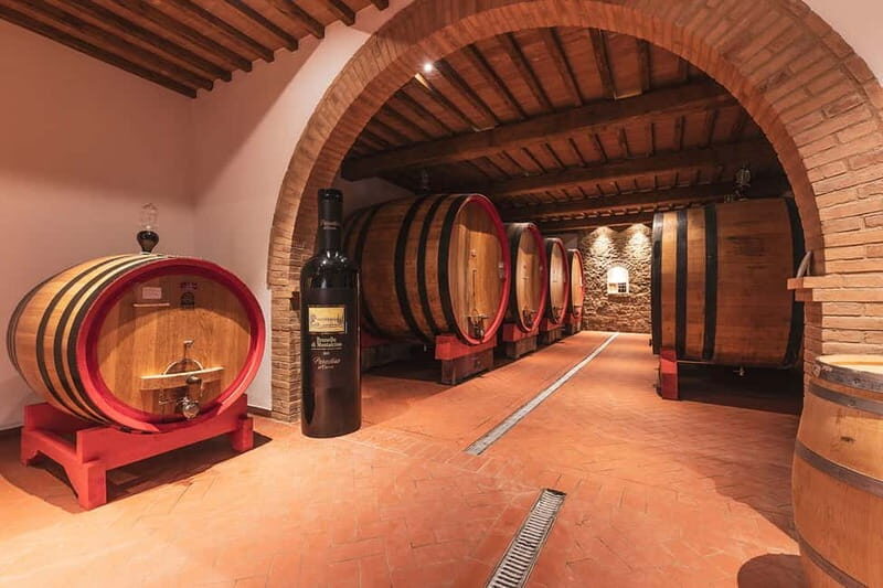 Montalcino: Vinyard Tour with Vertical Brunello Tasting - Vineyard tour in Montalcino: a focused look at Sangiovese parcels