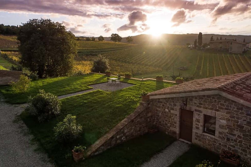 Montalcino: Vinyard Tour with Vertical Brunello Tasting - Price and value: $55.80 for a vertical Brunello comparison in one hour