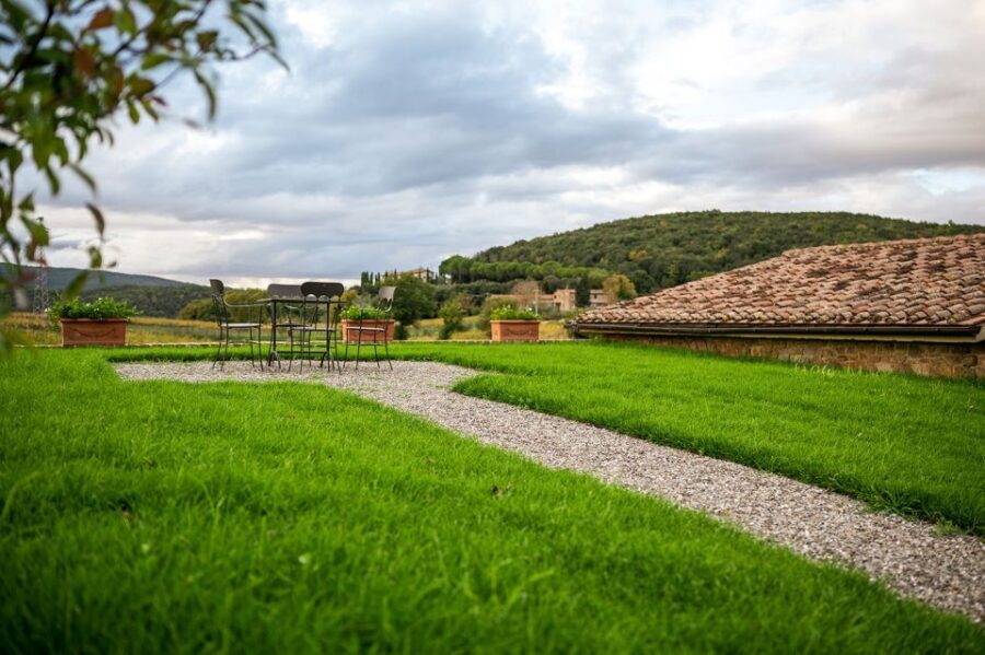 Montalcino: Vinyard Tour with Vertical Brunello Tasting - Who this tour suits best (and who should skip it)