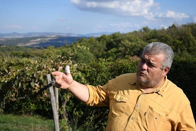 Montalcino wine tour - What You’ll Actually Taste: Rosso, Brunello, and Comparison Skills