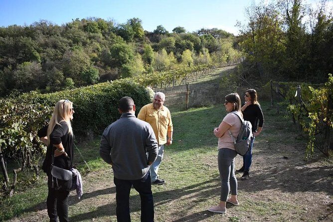 Montalcino wine tour - Martoccia and the Early Tastings: Setting Your Brunello Baseline