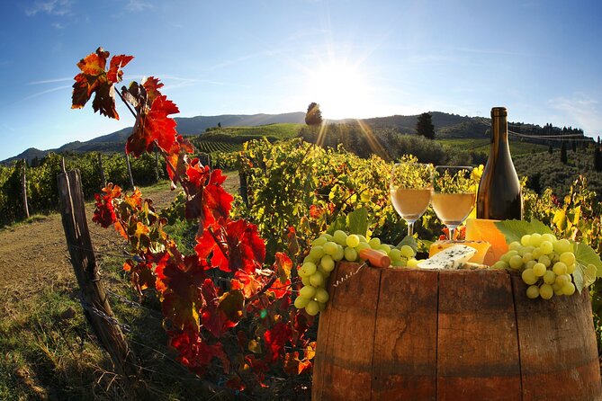 Montecarlo and Wine Tasting from Lucca Private Tour - Key highlights worth marking on your plan