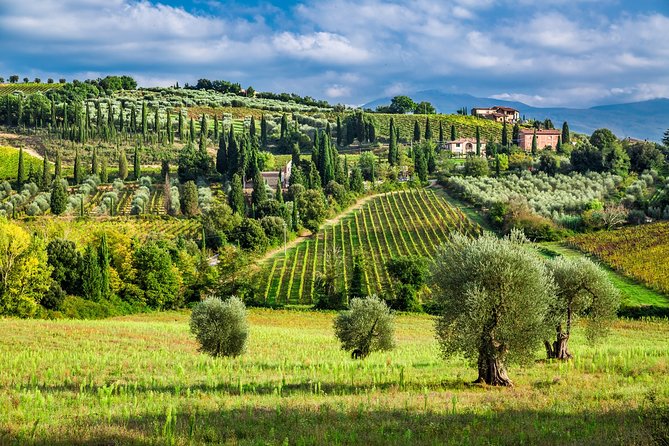 Montecarlo and Wine Tasting from Lucca Private Tour - Montecarlo: the hilltop stop that makes the day feel special