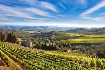 Montecarlo and Wine Tasting from Lucca Private Tour - The winery visit: what you’re really learning when you taste