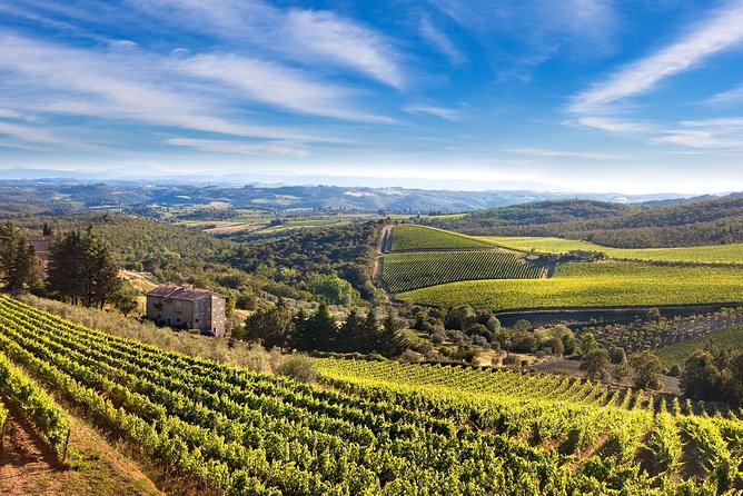 Montecarlo and Wine Tasting from Lucca Private Tour - The winery visit: what you’re really learning when you taste